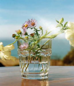 Adobe Lightroom Classic v15.2 Multilingual