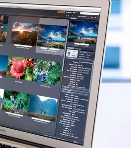 Adobe Bridge 2026 (v16.0.3) Multilingual