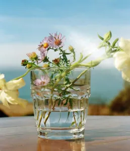 Adobe Lightroom Classic v15.3 Multilingual